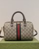 BEAB697B-4F1F-ADEE-77A7-90DA0FE77FF0.jpg Gucci Ophidia GG Small