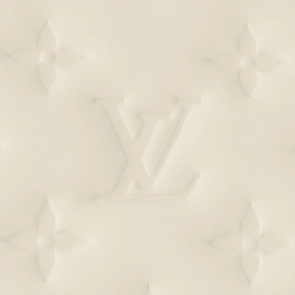 BF5B81BC-0D97-0102-D261-C983BC5B7F7C.png Coussin PM M21262