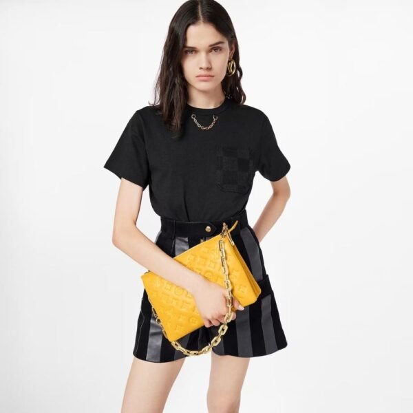 C0B1E0F0-0D04-9FE0-D42E-C3785F55440E.jpg Louis Vuitton M20378 Coussin PM