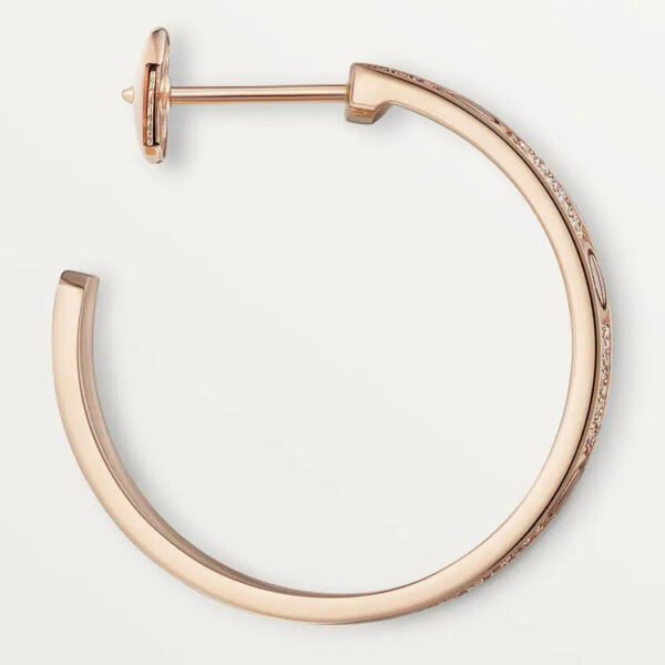 C15E2E49-99A6-E0E4-7D9D-C63146FD40A7.jpg LOVE EARRINGS