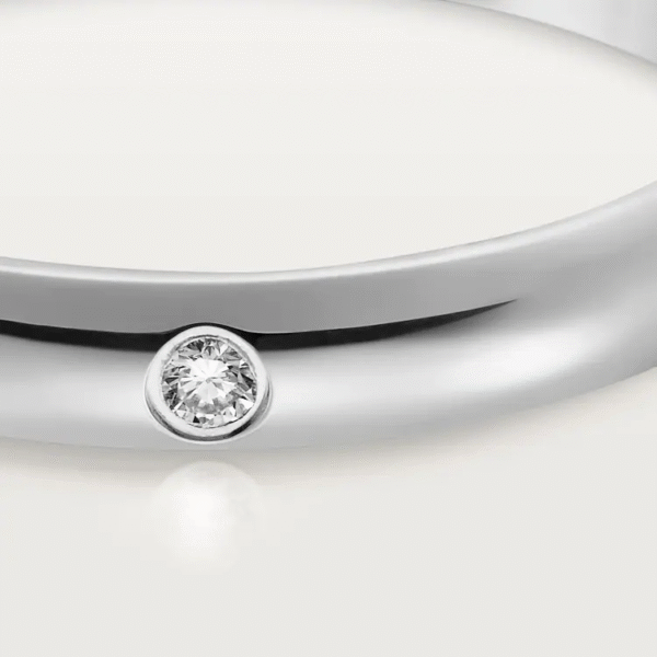C1729E21-F9C4-A2BD-2F43-3536485F10FB-1.png 1895 WEDDING BAND