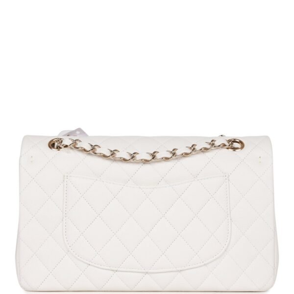 C20CFF84-2502-9F12-AD0B-92CCEB9B9DFB.jpg Medium Classic Double Flap Bag White Caviar Light Gold Hardware