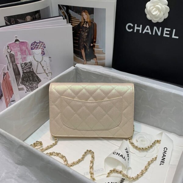 C21AC65D-0059-91D4-09C0-3A3F779EC9C0.jpg CHANEL Wallet On Chain