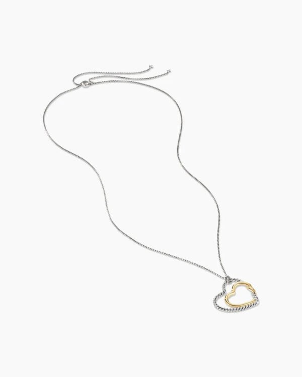 C2C6A3AF-7700-9C07-CF1E-FCB09EAFDD96.jpg Continuance® Heart Necklace Sterling Silver with 18K Yellow Gold, 38mm
