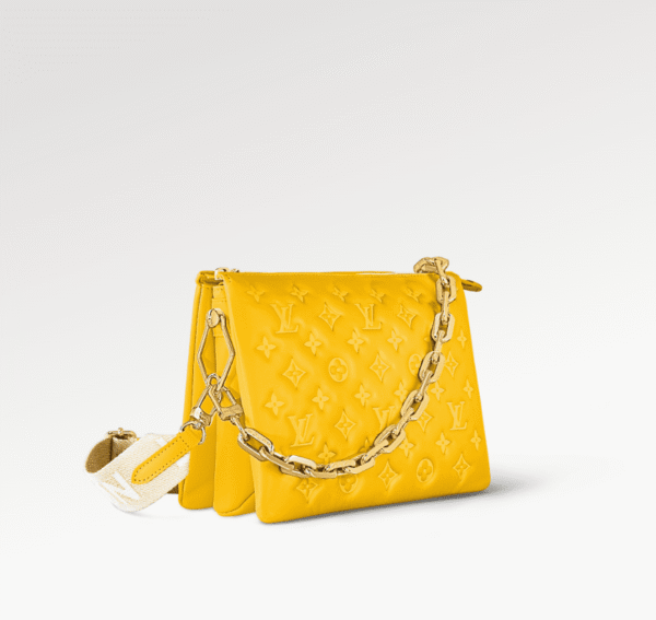 C2F65080-A0FB-D9C3-EEF0-7B128C91C2E8.png Louis Vuitton M20378 Coussin PM