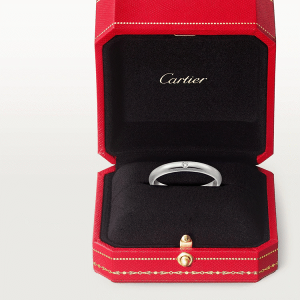C32C3904-0603-3BA0-7204-7A6869E694B4-1.png 1895 WEDDING BAND