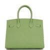Birkin 25 Vert Criquet Epsom with Palladium Hardware
