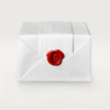 C5C41250-A081-7A13-0652-19CCB0CF3548_ae9f36f3-8d38-43cd-931d-2636dfd9765b.png JUSTE UN CLOU NECKLACE
