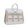 C5EAD757-1B6B-2169-285D-FB6F8C802610.jpg Limited Edition Birkin 20 Faubourg Sellier Bag Neige (Snow) White Matte Alligator