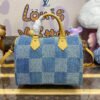 Louis Vuitton Speedy 25 Bandouli&egrave;re N40700