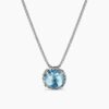 C8DEDB82-9971-0A61-6FAD-55FB7D5C20C9_2c84839c-29f2-4769-9d78-5388882f690d.jpg Petite Chatelaine® Necklace Sterling Silver with Blue Topaz, 10mm