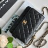 Chanel WOC fortune bag