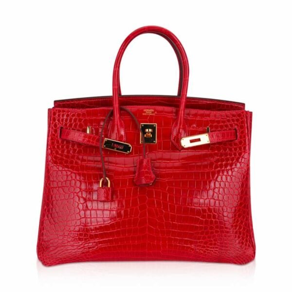 CC0FB871-2266-5E99-04EF-E98C725E132C.jpg Birkin 35 Bag Braise Porosus Crocodile with Gold Hardware