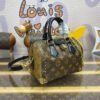 Louis Vuitton Speedy Trunk 20 M13146