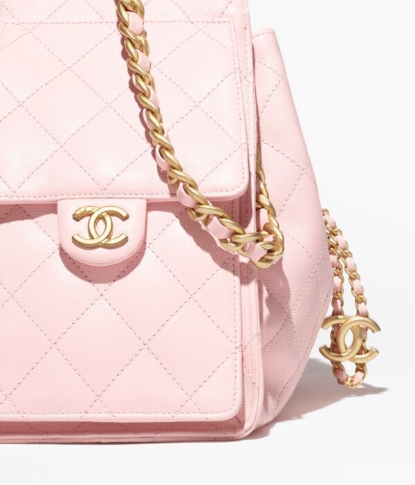 D15E1B65-0886-287E-018E-B3AEE9D62F29.jpg CHANEL 25 small bag(Pink)