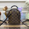 Louis Vuitton Palm Springs Mini M44873
