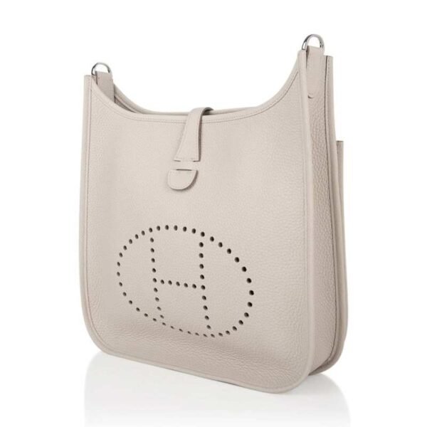 D255E017-63E6-EF27-13B7-A1DC934A5D70.jpg Evelyne PM Bag Beton Palladium Hardware Clemence Leather bag
