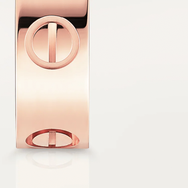 D4800756-D39B-4F65-615D-90492C2882DA-1.png LOVE RING