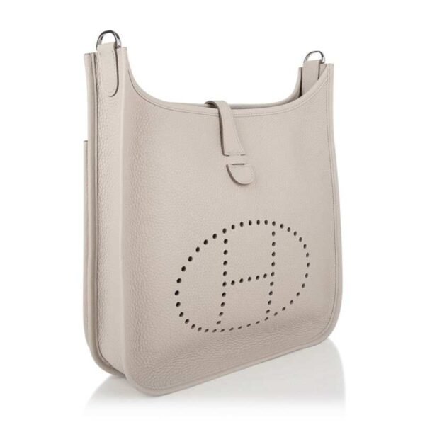 D529E4F2-8149-B85A-3116-3B19A77DF4E4.jpg Evelyne PM Bag Beton Palladium Hardware Clemence Leather bag