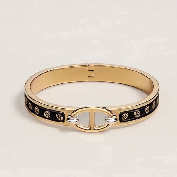 D6543206-55D9-C5E9-4603-8E3292B76D8C.jpg Hermes Mini Clic Chaine d'Ancre Maillon bracelet