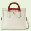 DA5728EE-E2EF-BC48-8C2F-DCB40EA75ED9_e955a4fe-f592-43f9-a17a-82e98334bf54.jpg DIANA SMALL TOTE BAG