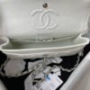 DA744E86-48EA-FB35-C36A-BABA61D5AB0B.jpg CHANEL SMALL CLASSIC FLAP HANDBAG SILVER METAL