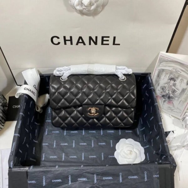 Chanel Small Class-Double Flap Bag A01113 In Lambskin