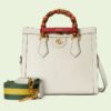 DE61087D-132A-FAF6-A438-1E5FB026CE3D.jpg DIANA SMALL TOTE BAG