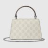 DE7DF67E-36ED-460C-74E3-2FCAB8078B84.jpg DIONYSUS MINI TOP HANDLE BAG