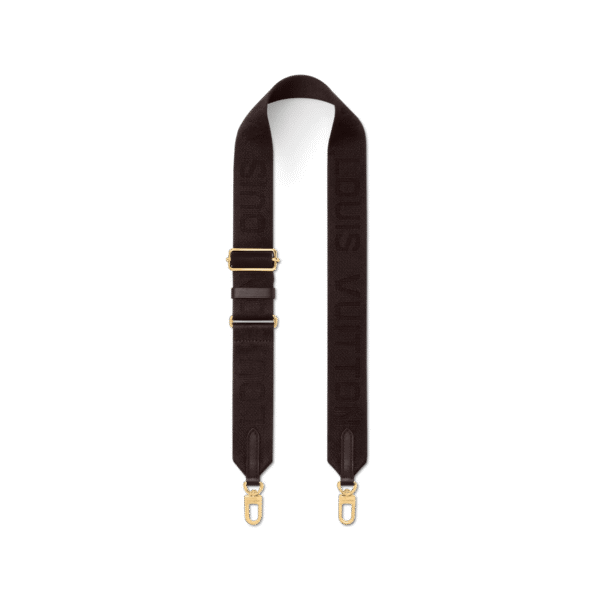 E245795E-F310-2081-7B55-B8B78F27824F.png Louis Vuitton M12072 Coussin Hobo MM