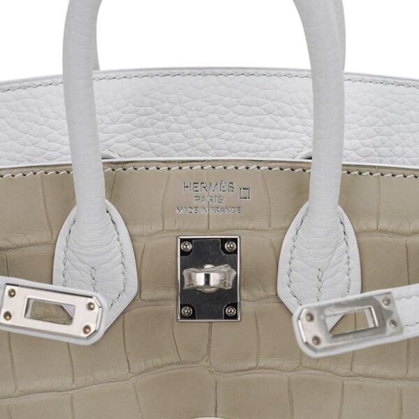 E3992B52-928F-7160-B908-F3759BE323BC.jpg Limited Edition Birkin 20 Faubourg Sellier Bag Neige (Snow) White Matte Alligator