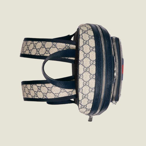 E5002EE2-7B19-E32D-526B-A654AECE8765.jpg OPHIDIA SMALL BACKPACK