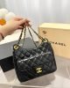 Chanel 23C Hobo New Gold Coin Bag