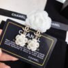cc Earrings