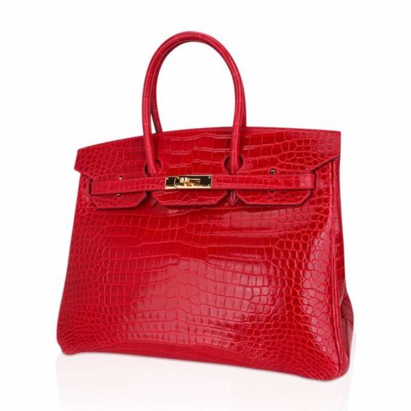 E7E7D06C-1832-61C9-E0DA-2436C160DBC0.jpg Birkin 35 Bag Braise Porosus Crocodile with Gold Hardware