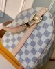 Louis Vuitton Speedy Bandouli&egrave;re 25 N40608