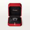 EA7D3DCF-C3FD-77B8-17B4-D9BE17DB0514-1.png LOVE RING, SMALL MODEL