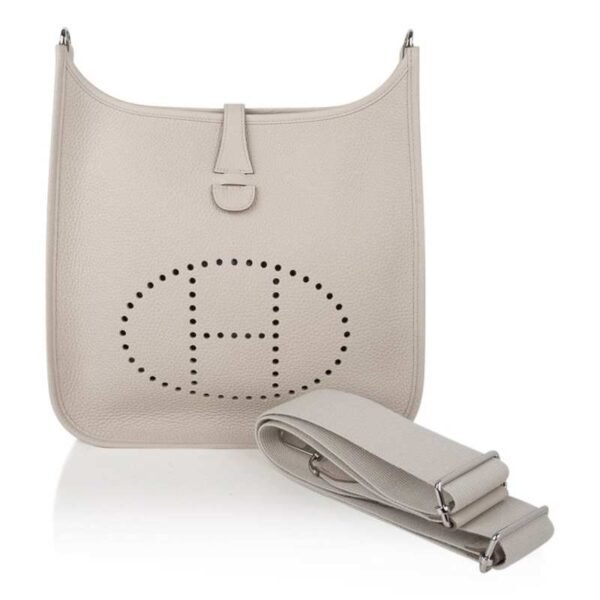 EA8F3133-9157-AE1F-70C3-90B0EF2B1F05.jpg Evelyne PM Bag Beton Palladium Hardware Clemence Leather bag