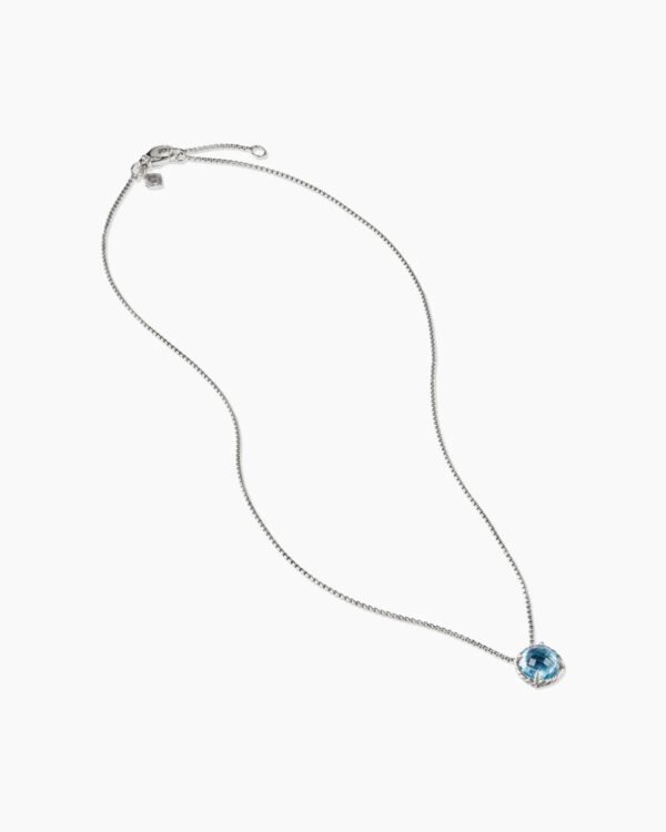 EC1B8AC5-43A0-2884-684D-C95CF0A62B48.jpg Petite Chatelaine Necklace Sterling Silver with Blue Topaz, 10mm