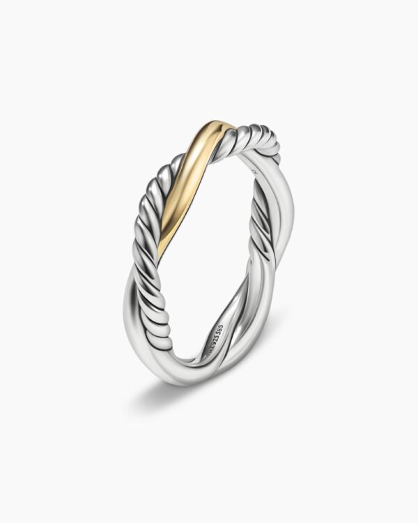 EC56F55A-DECC-1012-89FF-A6148283EAB0.jpg Petite Infinity Band Ring Sterling Silver with 14K Yellow Gold, 4mm