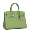 Birkin 25 Vert Criquet Epsom with Palladium Hardware