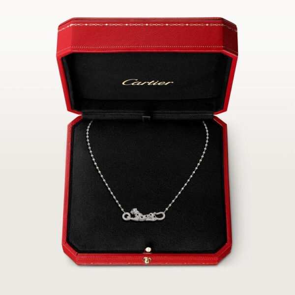 F13545EF-7B51-F085-8E61-28A350DD7CC5.jpg PANTHERE DE NECKLACE