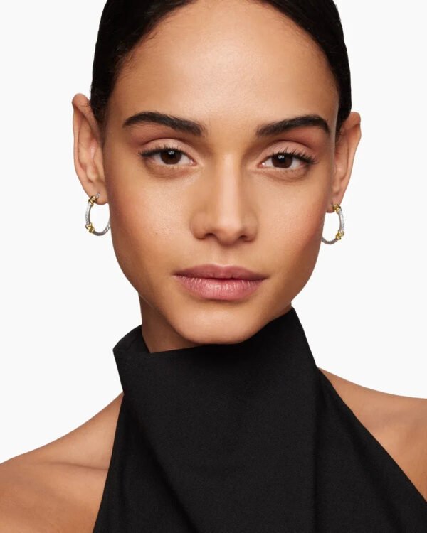 F1A12D96-1229-B36E-BCFE-9644B0EE378D.jpg Petite Helena Wrap Hoop Earrings Sterling Silver with 18K Yellow Gold and Diamonds