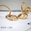F1B01481-1E02-B90A-EEFB-80B4BD9E2520.jpg cc Earrings
