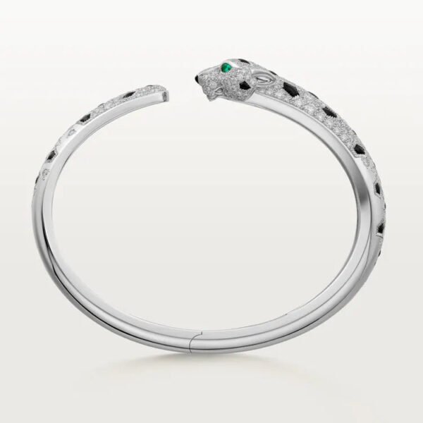 F2182DDD-08F8-3A2B-51E1-AFE2D8724DE2.jpg PANTHERE DE BRACELET