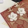 CC Earrings 0026