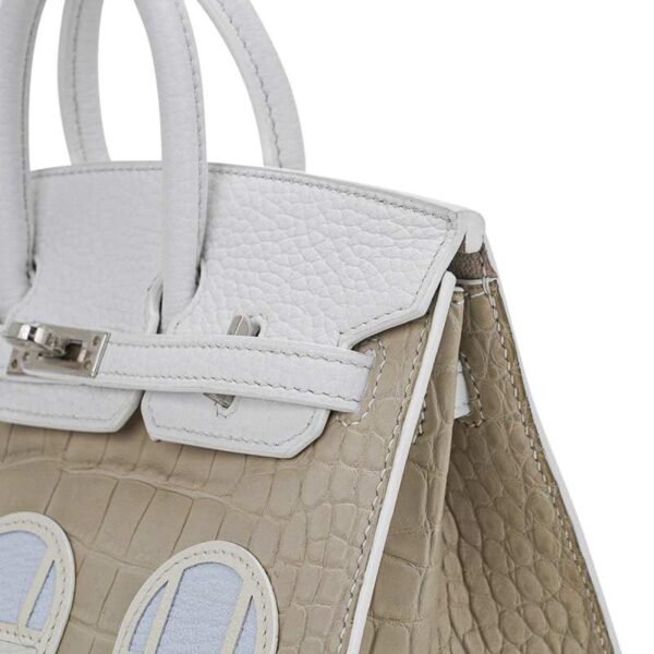 FB61FC03-3310-C7A6-1246-3D1A58A9B3FA.jpg Limited Edition Birkin 20 Faubourg Sellier Bag Neige (Snow) White Matte Alligator