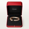 FD2FC7DC-D064-7A42-A0C2-78EE36AF3D73.jpg PANTHÈRE DE BRACELET