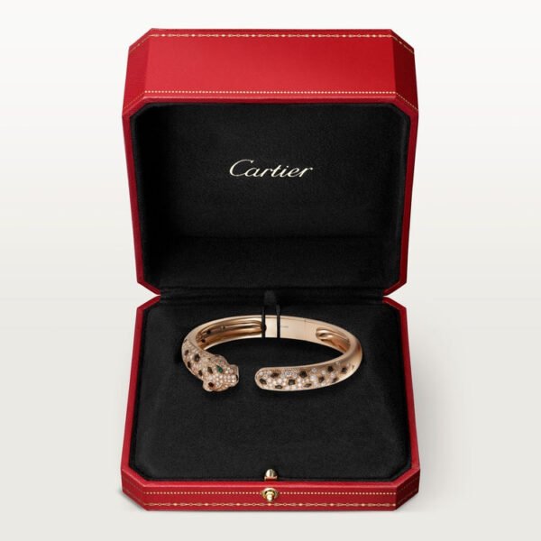 FD2FC7DC-D064-7A42-A0C2-78EE36AF3D73.jpg PANTHÈRE DE BRACELET